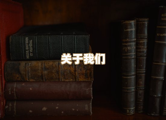 关于昭瑞电子书